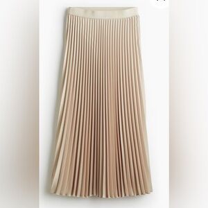 H&M Pleated Skirt NWT